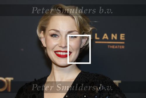 Amsterdam 18 januari 2025
Premiere Foxtrot in het deLaMar theater . Maartje van de Wetering met partner JosÃ© Luis Sogorb