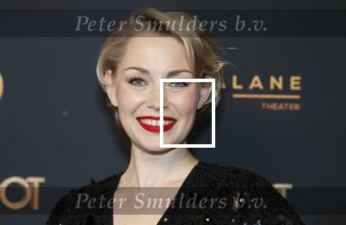Amsterdam 18 januari 2025
Premiere Foxtrot in het deLaMar theater . Maartje van de Wetering met partner JosÃ© Luis Sogorb