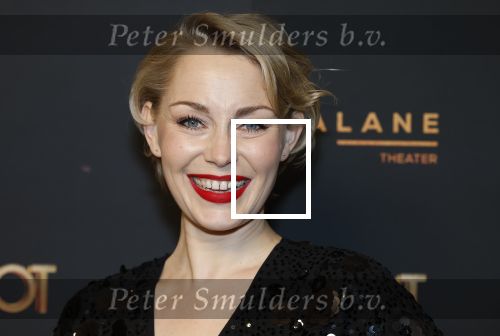 Amsterdam 18 januari 2025
Premiere Foxtrot in het deLaMar theater . Maartje van de Wetering met partner JosÃ© Luis Sogorb