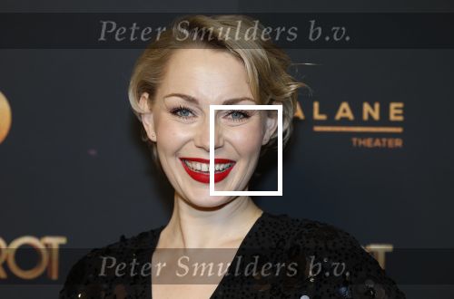 Amsterdam 18 januari 2025
Premiere Foxtrot in het deLaMar theater . Maartje van de Wetering met partner JosÃ© Luis Sogorb