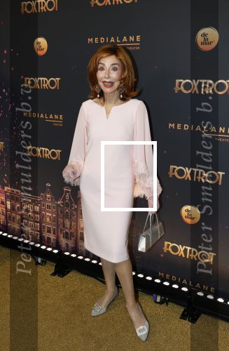 Amsterdam 18 januari 2025
Premiere Foxtrot in het deLaMar theater . Marijke Helwegen kwam met haar man Harrie