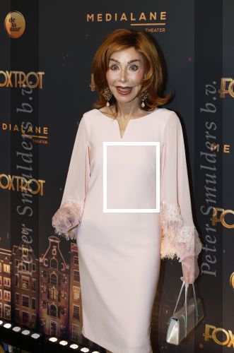 Amsterdam 18 januari 2025
Premiere Foxtrot in het deLaMar theater . Marijke Helwegen kwam met haar man Harrie