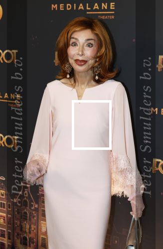 Amsterdam 18 januari 2025
Premiere Foxtrot in het deLaMar theater . Marijke Helwegen kwam met haar man Harrie