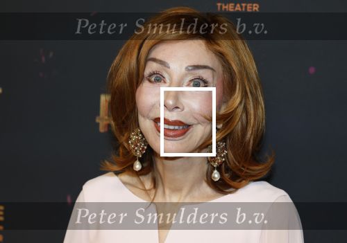 Amsterdam 18 januari 2025
Premiere Foxtrot in het deLaMar theater . Marijke Helwegen kwam met haar man Harrie