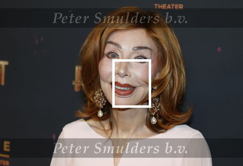 Amsterdam 18 januari 2025
Premiere Foxtrot in het deLaMar theater . Marijke Helwegen kwam met haar man Harrie