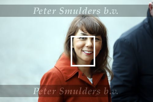 Amsterdam 12 januari 2026
Nieuwjaarsreceptie Koning Willem Alexander en Koningin Maxima bij het paleis op de dam . Vandaag komen er vooral mensen uit de politiek. Mei Li Vos