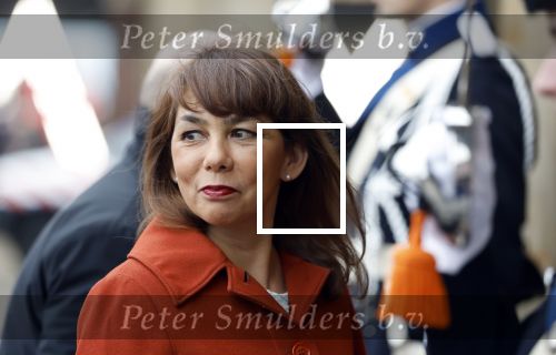 Amsterdam 12 januari 2026
Nieuwjaarsreceptie Koning Willem Alexander en Koningin Maxima bij het paleis op de dam . Vandaag komen er vooral mensen uit de politiek. Mei Li Vos