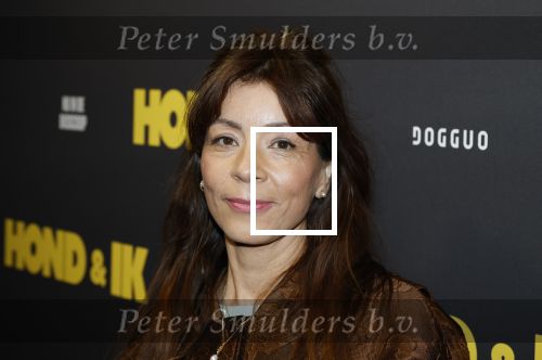 Amsterdam 6 januari 2025
Premiere Hond en ik in het vondelparkpaviljoen . Nadja Hupscher
