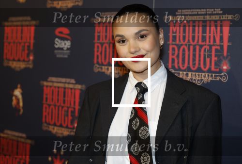 Utrecht 14 januari 2026
Premiere April Darby bij moulin Rouge in Beatrixtheater . Nancy Burer