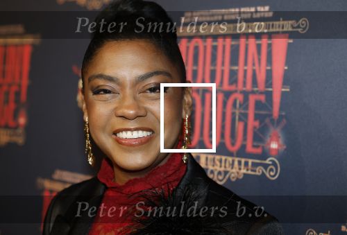 Utrecht 14 januari 2026
Premiere April Darby bij moulin Rouge in Beatrixtheater .Natacha Harlequin kwam met haar zoon