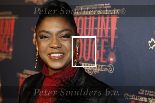 Utrecht 14 januari 2026
Premiere April Darby bij moulin Rouge in Beatrixtheater .Natacha Harlequin kwam met haar zoon