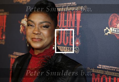 Utrecht 14 januari 2026
Premiere April Darby bij moulin Rouge in Beatrixtheater .Natacha Harlequin kwam met haar zoon