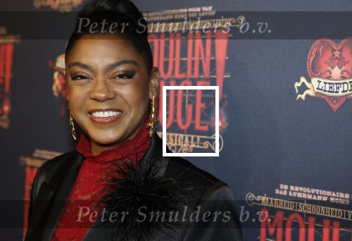 Utrecht 14 januari 2026
Premiere April Darby bij moulin Rouge in Beatrixtheater .Natacha Harlequin kwam met haar zoon