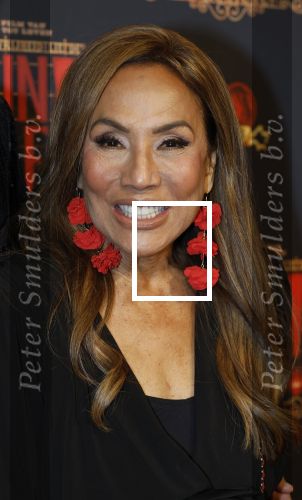 Utrecht 14 januari 2026
Premiere April Darby bij moulin Rouge in Beatrixtheater . Patty Brard en Bart Ettekoven