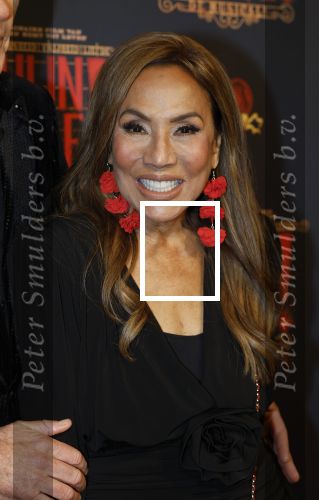 Utrecht 14 januari 2026
Premiere April Darby bij moulin Rouge in Beatrixtheater . Patty Brard en Bart Ettekoven