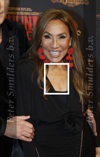 Utrecht 14 januari 2026
Premiere April Darby bij moulin Rouge in Beatrixtheater . Patty Brard en Bart Ettekoven