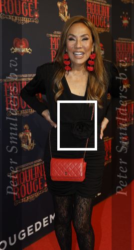 Utrecht 14 januari 2026
Premiere April Darby bij moulin Rouge in Beatrixtheater . Patty Brard en Bart Ettekoven