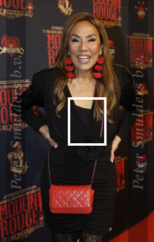 Utrecht 14 januari 2026
Premiere April Darby bij moulin Rouge in Beatrixtheater . Patty Brard en Bart Ettekoven