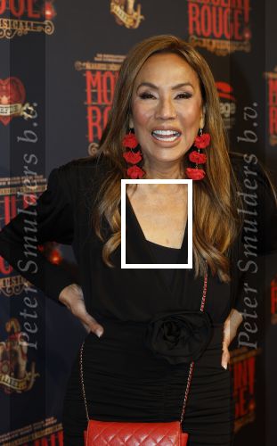 Utrecht 14 januari 2026
Premiere April Darby bij moulin Rouge in Beatrixtheater . Patty Brard en Bart Ettekoven