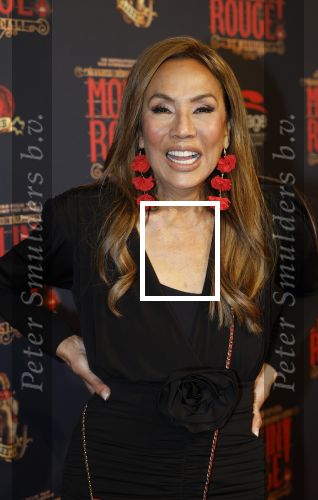 Utrecht 14 januari 2026
Premiere April Darby bij moulin Rouge in Beatrixtheater . Patty Brard en Bart Ettekoven