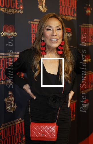 Utrecht 14 januari 2026
Premiere April Darby bij moulin Rouge in Beatrixtheater . Patty Brard en Bart Ettekoven