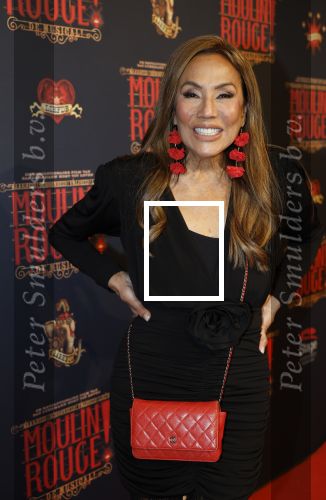 Utrecht 14 januari 2026
Premiere April Darby bij moulin Rouge in Beatrixtheater . Patty Brard en Bart Ettekoven