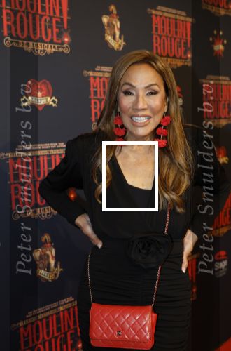 Utrecht 14 januari 2026
Premiere April Darby bij moulin Rouge in Beatrixtheater . Patty Brard en Bart Ettekoven