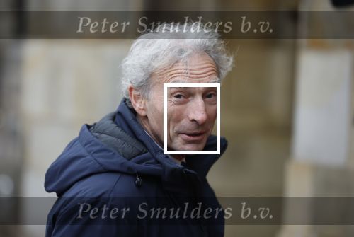Amsterdam 12 januari 2026
Nieuwjaarsreceptie Koning Willem Alexander en Koningin Maxima bij het paleis op de dam . Vandaag komen er vooral mensen uit de politiek. Paul Rosenmoller
