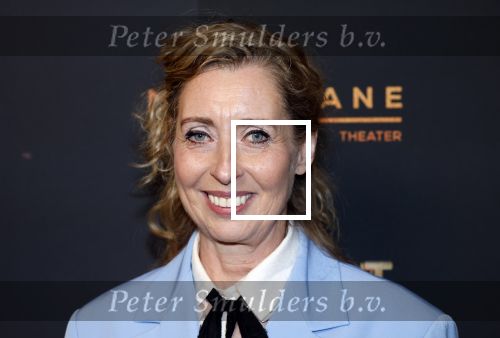 Amsterdam 18 januari 2025
Premiere Foxtrot in het deLaMar theater . Plien van Bennekom met partner Jeroen Wassmer