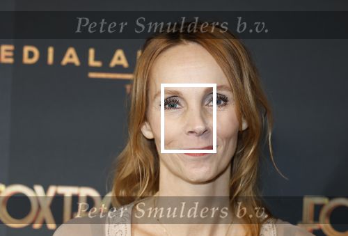 Amsterdam 18 januari 2025
Premiere Foxtrot in het deLaMar theater . Roosmarijn Luyten