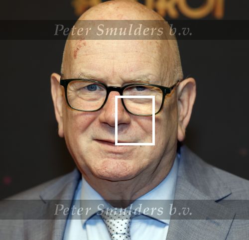 Amsterdam 18 januari 2025
Premiere Foxtrot in het deLaMar theater . Ruud de Graaf met partner Margreet Duin