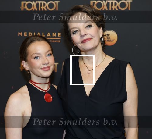Amsterdam 18 januari 2025
Premiere Foxtrot in het deLaMar theater . Sanne Wallis de Vries met dochter