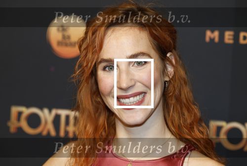 Amsterdam 18 januari 2025
Premiere Foxtrot in het deLaMar theater . Sanne den Besten met vriend