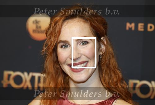 Amsterdam 18 januari 2025
Premiere Foxtrot in het deLaMar theater . Sanne den Besten met vriend