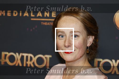 Amsterdam 18 januari 2025
Premiere Foxtrot in het deLaMar theater . Sytske van der Ster