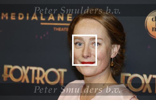 Amsterdam 18 januari 2025
Premiere Foxtrot in het deLaMar theater . Sytske van der Ster