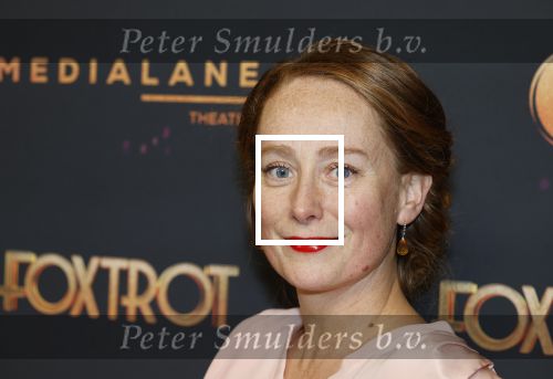 Amsterdam 18 januari 2025
Premiere Foxtrot in het deLaMar theater . Sytske van der Ster