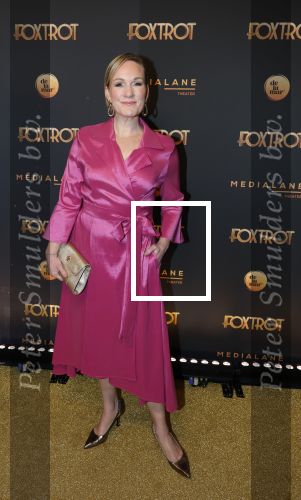 Amsterdam 18 januari 2025
Premiere Foxtrot in het deLaMar theater . Wieneke Remmers en Rein Kolpa