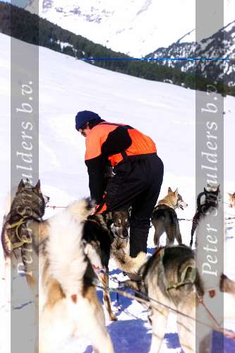 Husky honden met hun begeleider in de sneeuw
Wintersport Spanje 1998
