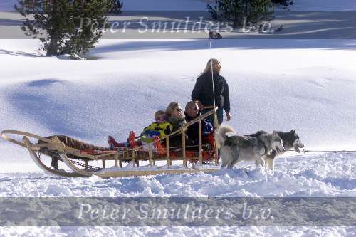 Fam Ronald Koeman in een slee getrokken door Husky honden
Dec. 1998