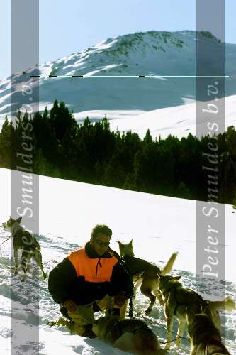 Spanje 26 December 1998
husky honden met slee in de sneeuw
wintersport