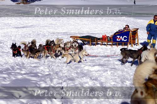 Spanje 26 December 1998
husky honden met slee in de sneeuw
wintersport