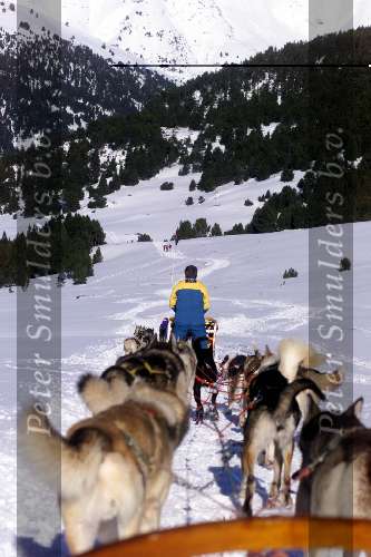 Spanje 26 December 1998
husky honden met slee in de sneeuw
wintersport