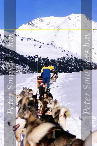 Spanje 26 December 1998
husky honden met slee in de sneeuw
wintersport