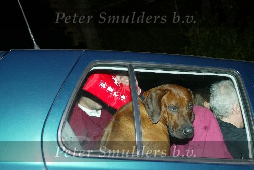 St Georges 28 februari 2003
Prinses Margarita met haar hond op weg naar het politieburo Edwin de Roy van Zuydewijn
uitzicht St Georges