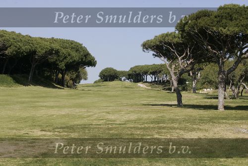 Portugal De algarve
Prachtige resort Vale do lobo met 2 x 18 holes golfcourses
de royal en de Ocean