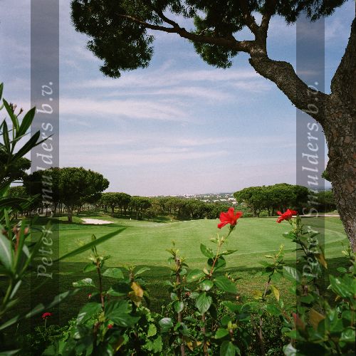 Portugal 2005
Golfbaan van Golf Resort Vale do lobo