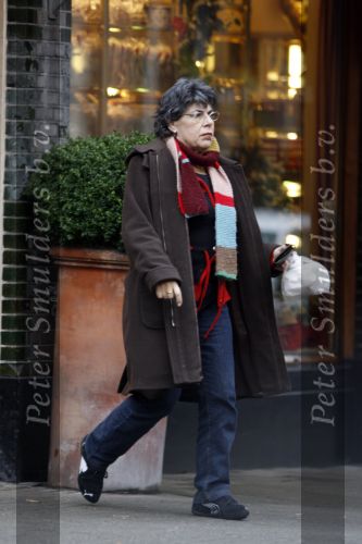 Amsterdam 27 december 2006
Hanneke Groenteman heel veel afgevallen op de cornelis schuytstraat.