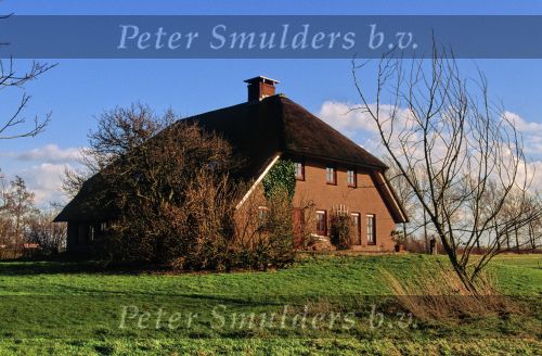Huis van Viola Holt in 1995
3 Augustus 1995