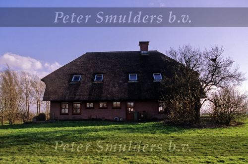 Huis van Viola Holt in 1995
3 Augustus 1995